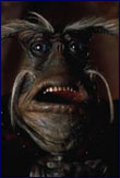 Illustration for article titled Farscape Celebrates 10 Years Of Frelling Awesomeness